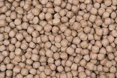 os peixes alimentam a planta da extrusora da máquina do alimento de peixes do fabricante