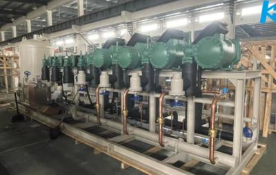 A unidade 820Hp de condensação paralela de Kaideli 8 com compressores do parafuso submete