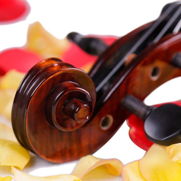 China supplier Student Practice universal 4/4 vintage baroque style violin exported to Egypt and Canada constansa co