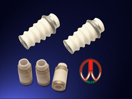 Automotive High Alumina Ceramic