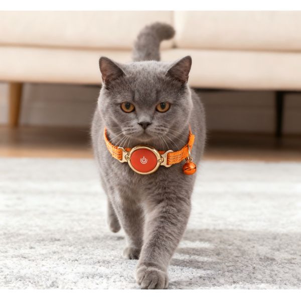 Comfortable Rechargeable Eco-Friendly Waterproof GPS Wireless Dog Collar Electronic Fence Training Nylon Plastic Orange Fashion