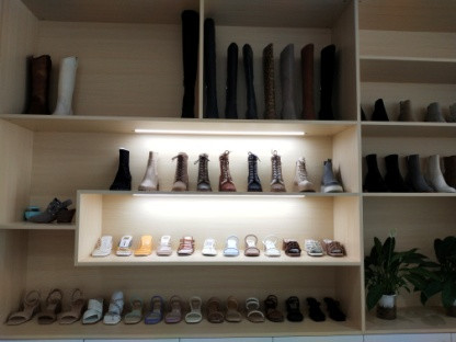 Dongguan Chenzhou Trading Co., Ltd.