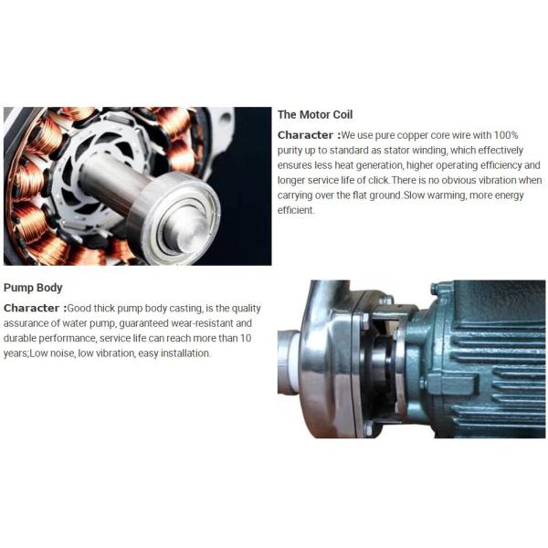 Cast Iron High Efficiency Horizontal Chemical Pumps Single Stage Explosion Proof Motor