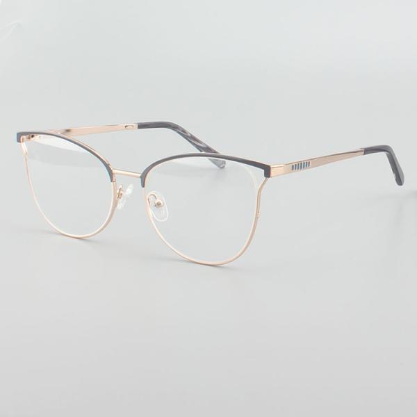 Classical Female Stainless Steel Metal Frame Cat Eye Glasses