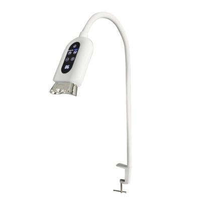 Máquina de clareamento de dentes rápida e segura em casa Clínica Dental Máquina de branqueamento de dentes de 10W