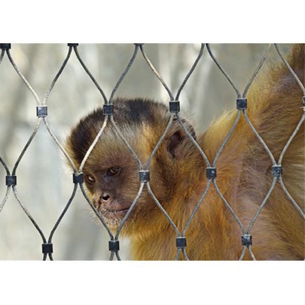 High Strength 1.5mm Wire Rope Mesh For Aviary Zoo Bird Cages