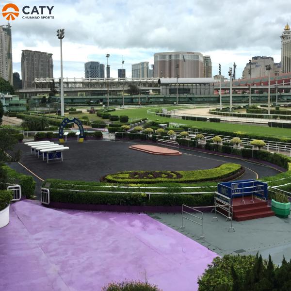 Нетоксичные собачьи костяные дорожные покрытия Противоультрафиолетовые, устойчивые к ударам, переработанные резиновые дорожные покрытия