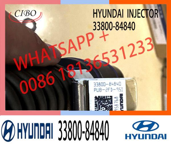 63229465 33800-82000 63229466 injecteur de carburant commun 63229467 de rail de moteur de 33800-84840 ELIC 33800-84830 63229468