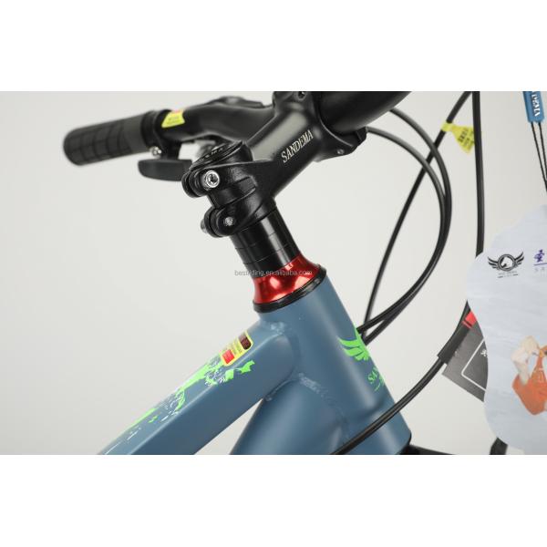 Стальная рама 20 дюймов WANDA 20 * 2.125 Шины Детский велосипед для прочного 21 скорости MTB