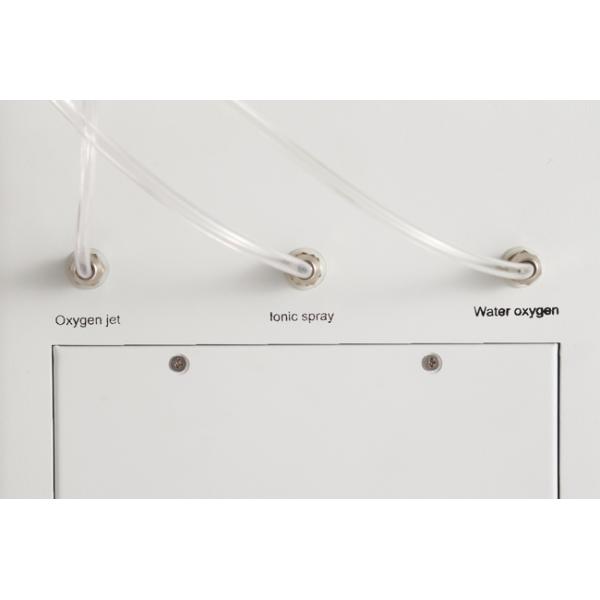 Facial Multifunctional Beauty Machine , 96% Purity 3 In 1 Oxygen Therapy Equipment