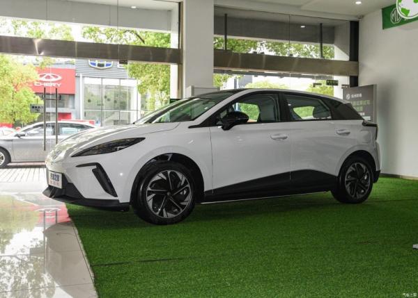 5 carro elétrico puro de alta velocidade do carro com porta traseira MULAN EV da porta