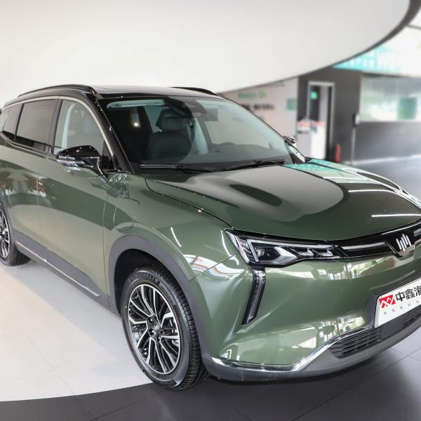 China's hot selling mid-size SUV WM Motor WM W6 2021 520km PRO Discovery Edition