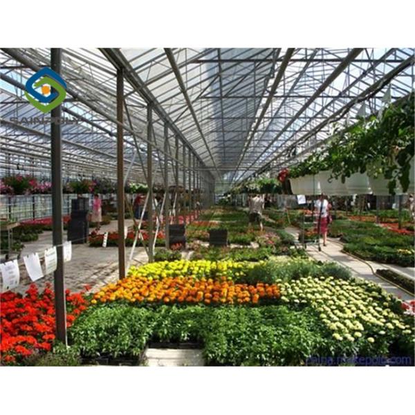 Impact Resistant 12m Polycarbonate Greenhouse For Farm