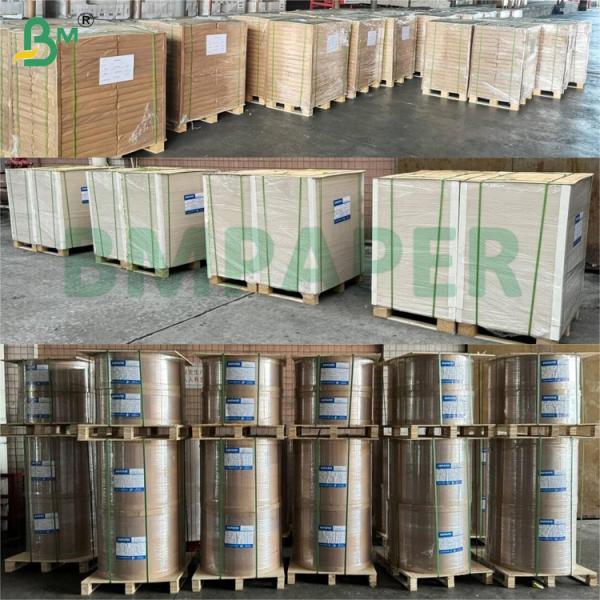 240gsm+15gsm High Strength Glossy Paper Bowl Paper For Hot Drink Hot Food Packaging Bowl Papier pour bol brillant haute résistance 240gsm+15gsm pour emballage de bols de boissons chaudes et aliments chauds