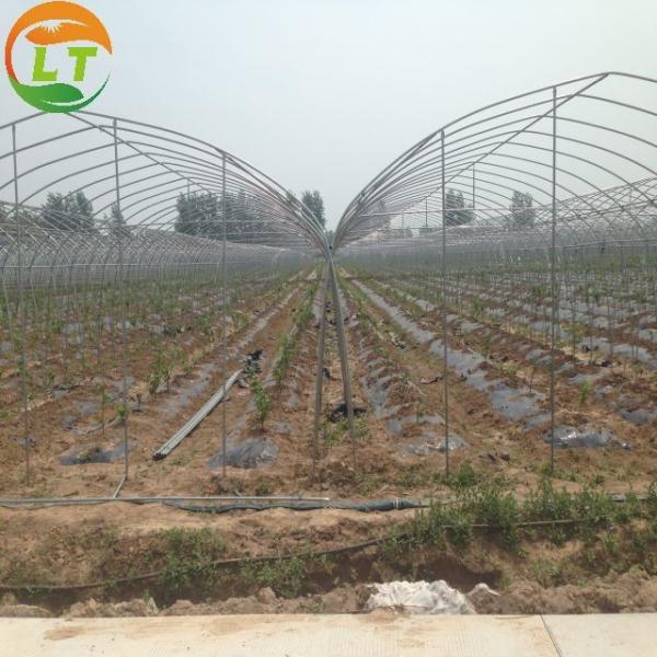 20GP Container Types Backyard Greenhouse Design with Small Size and Designable Height