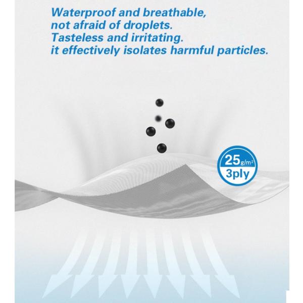 3 Layer Earloop Procedure Masks