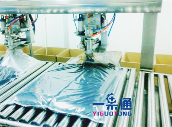 AC220V 50HZ BIB Filling Machine SUS304 5L / 10L / 20L