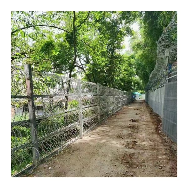 Razor Wire Razor Barbed Wire Galvanized Steel 18 1 Coils 50 Ft Per Roll CBT-65