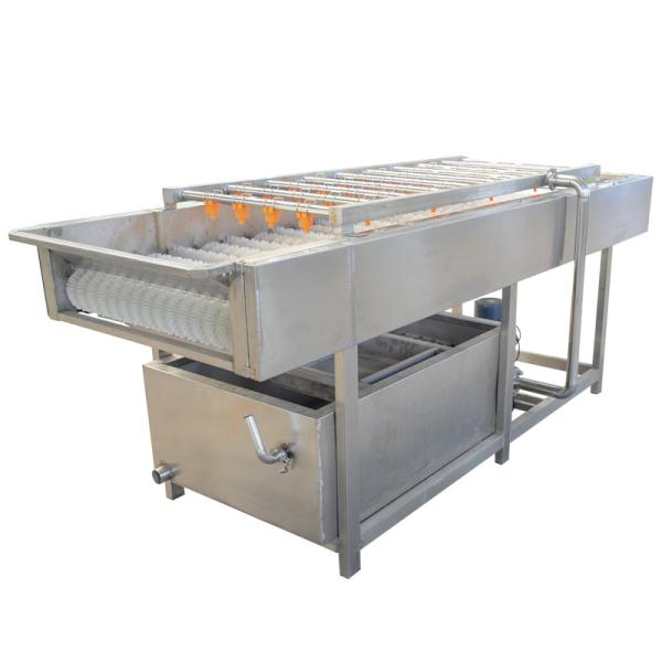 Parallel Roller Seafood 800kg Fruit And Vegetable Washer Machine