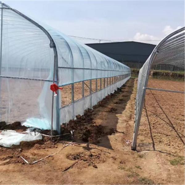 Steel Pipe Dome Metal Hoop Greenhouse Galvanized Prefabricated Single Tunnel Plastic Greenhouse