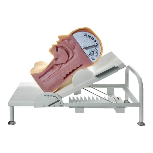 Swallow Mechanism Simulator clinical trial simulation for Learning and Training