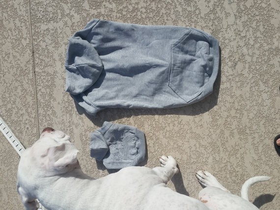 cheap fleece dog hoodie pet apparel factory wholesale in cheap price