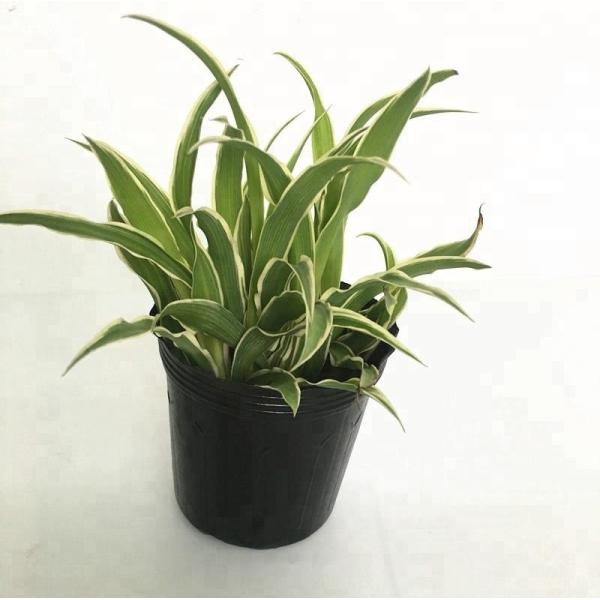 Цветочный горшок металла сияющий пластиковый с поддонника стилем совместно китайским