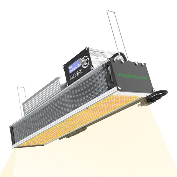OEM 320w LED Toplighting Grow Light All Year Round Medical Plant Growing Lights