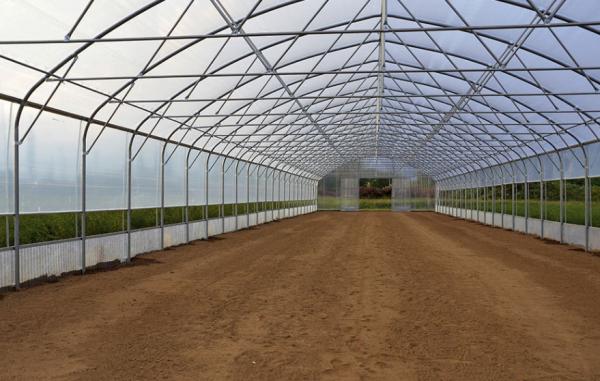 Thickness 0.12mm-0.8mm Plastic Film Greenhouse For Strawberries