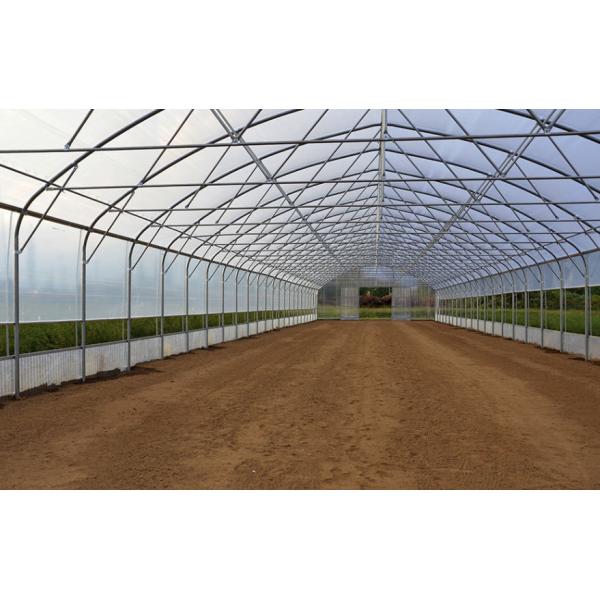 Thickness 0.12mm-0.8mm Plastic Film Greenhouse For Strawberries