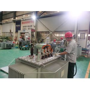 Jiangxi People Transmit & Transform Electric Co., Ltd.
