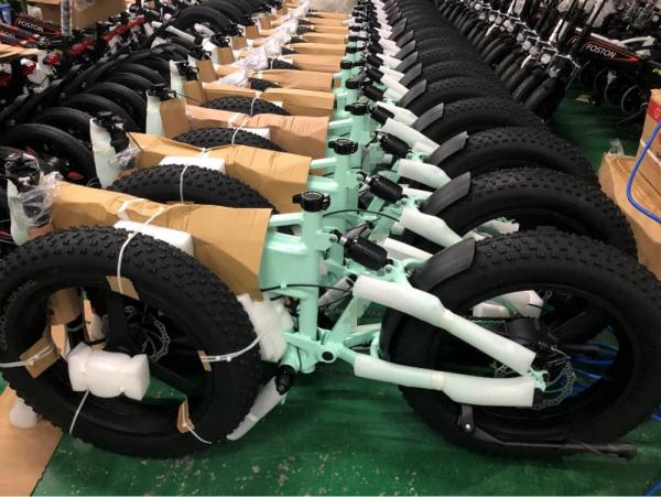 Da dobradura completa da suspensão do assinante Sus completo E 13Ah de Mtb 20 x 4,0 de Ebike BOCADO RICO 014 de 48v 500w