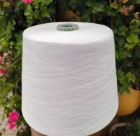 2D×61mm Fibre d'accouplement acrylique anti-pilling pour les textiles ménagers