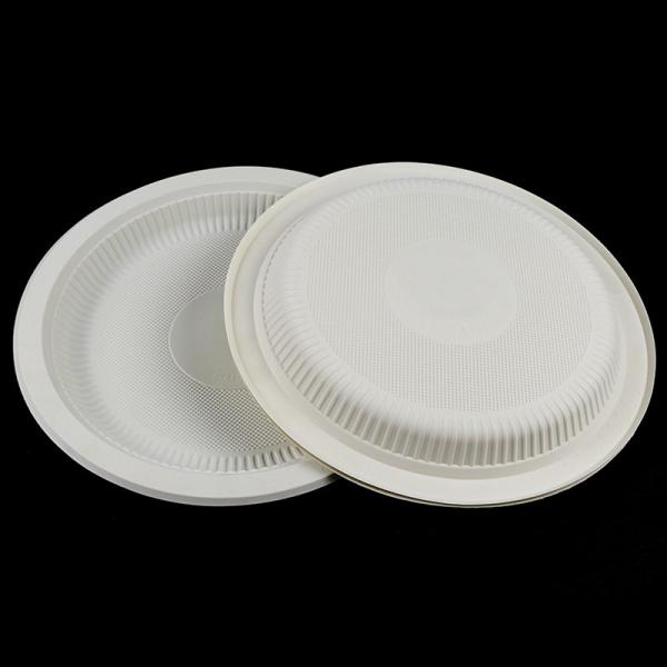 Novelty Design Corn-Based Biodegradable Plate Set with Environment-Friendly Advantage
