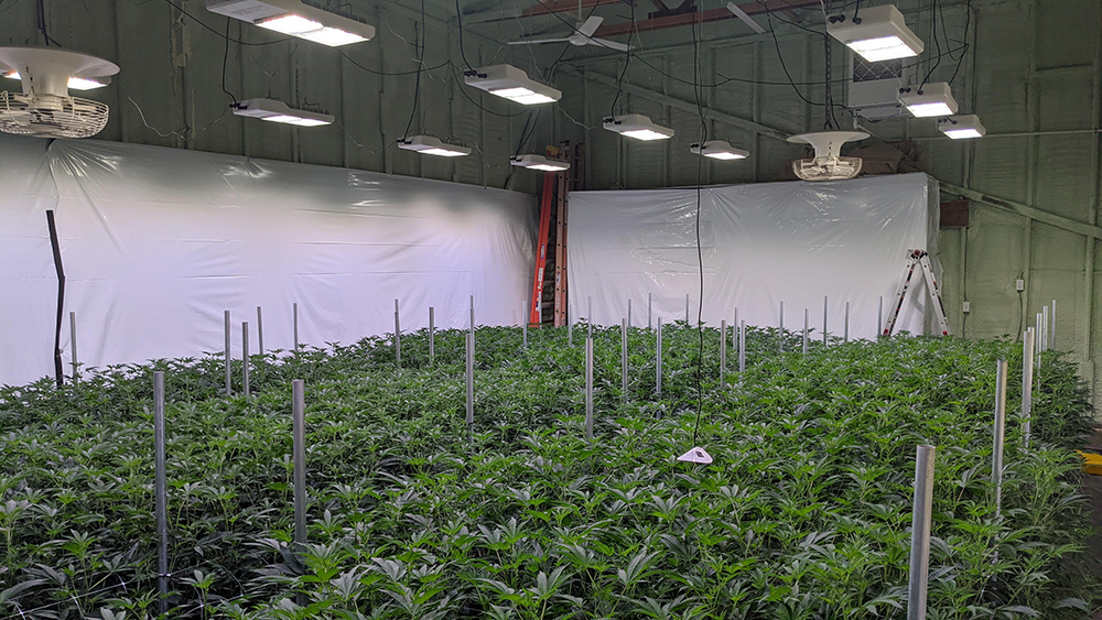 СИД парника 800W растет света заменяет традиционные лампы HPS