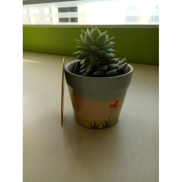 EP Disc 16 100mm Electroplated Saw Blade For Carbide Tip Cutting And Grinding