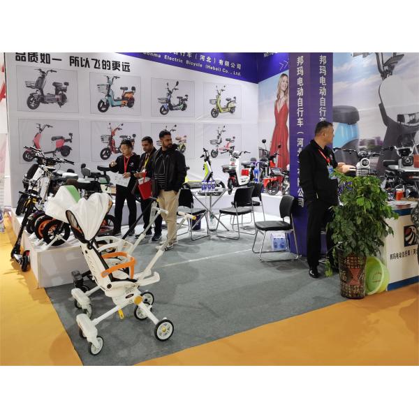 Open Body Type Electric Tricycle 3 Wheel Motorcycle for Adult Transportation