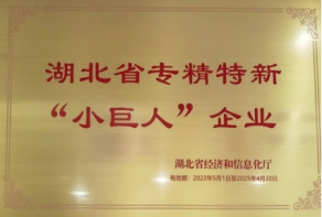 Wuhan Aobong Surface Technique Co., Ltd.