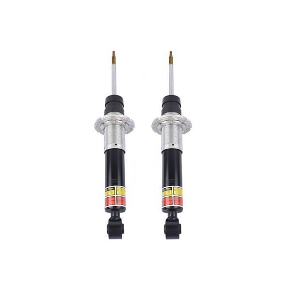 Передний амортизатор удара подвеса воздуха 255863 для паука Италии 2010-2015 Феррари 458