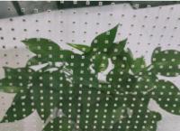 P25-50 Panel LED transparente en modo pantalla de control de caja síncrona 400 W/m2