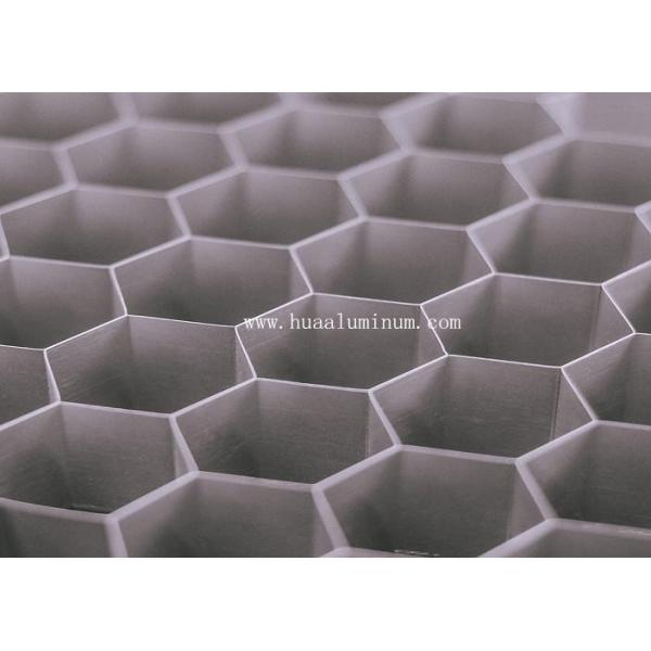 Anti Static Honeycomb Structural Lightweight Aluminum Panels Anodized Surface