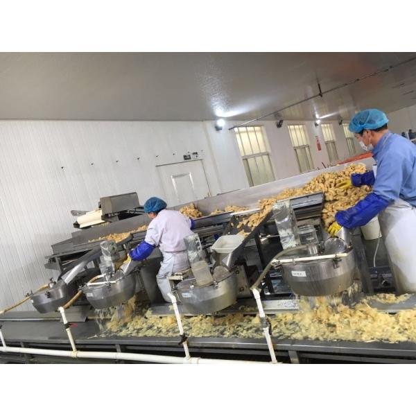 Vinegar Process Japanese White Pink Pickled Sushi Ginger for Open Air Cultivation Type