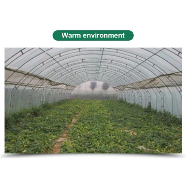 Поддержка Выбор случая Маленькая томатная гидропоническая теплица с обозначенной длиной