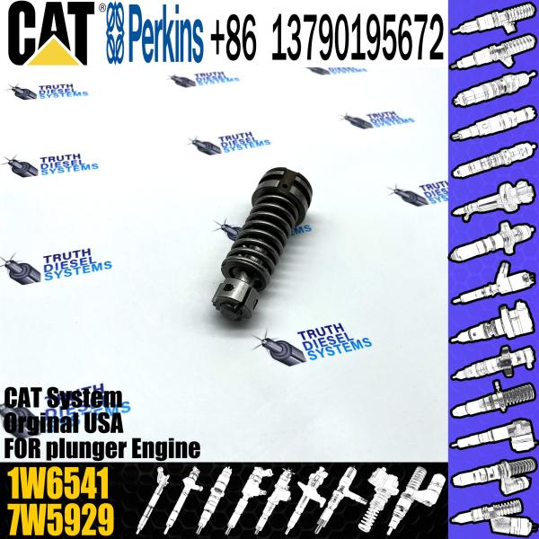 Diesel Fuel Injection Pump Plunger 1w6541 4p9830 9n5797 6n7527 Plunger Barrel 7W5929 Element for CAT 3306
