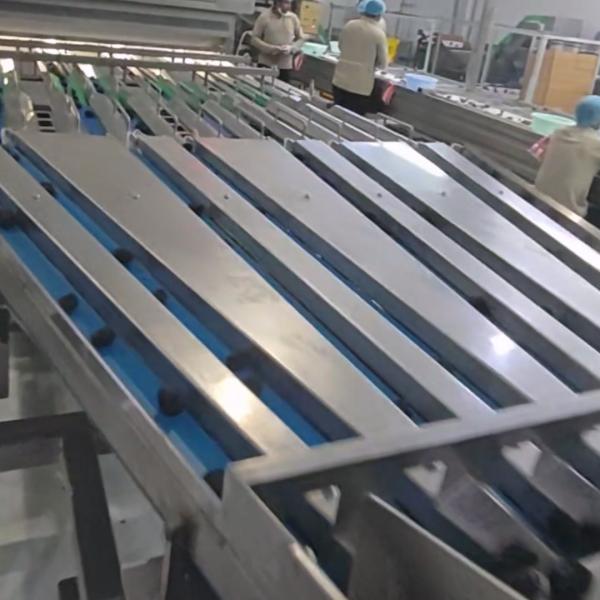 High-capacity Dates Sorting Machine, Deep Learning, 6 lanes+10 outlets, 1.8 Tons per hour, High Efficiency