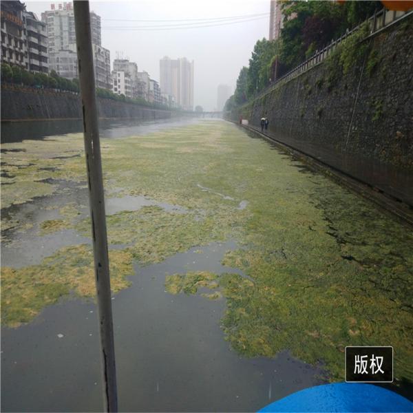 4000m2/H 8km/H River Water Cleaning Machine Pond Weed Harvester
