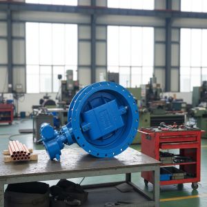 2in-48in Large Caliber WCB SS304/316 Flange Hard Seal Double Flange Double