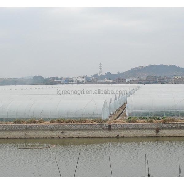150Micron Single Span Greenhouse Customizable Plastic Film Greenhouse