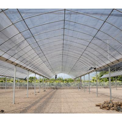 Large Multi Span Greenhouse 200micron Plastic Film Greenhouse For Vegetables And Flowers