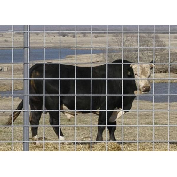 Hot DIP Galvanized Hog Panel for Livestock and Cattle Fence